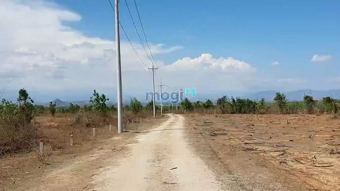 Hình ảnh Bán đất mặt tiền 243m, 2ha, Hòa Thắng, Bắc Bình, Bình Thuận.