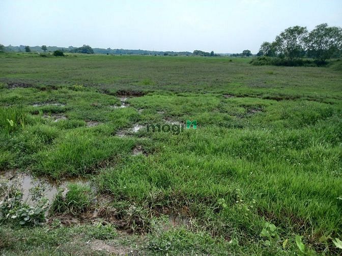 Hình ảnh xã An Phú, DT: 5308m2, giá 11.7 tỷ