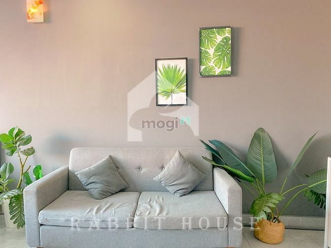 Hình ảnh Khai trương CHDV mới Ngay Phan Văn Trị Full nt mới - An ninh Nuôi Pet