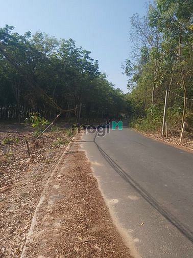 Hình ảnh Còn 1 lô duy nhất DT2000m2, đường Tân Bình 04, cách DT741 200m.