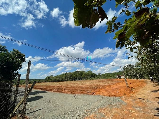 Hình ảnh Đất Lộc Ninh giá rẻ cho anh chị Trang MB66.COM Chính Thức - MB 66 Uy Tín đất nền sổ sẵn Lộc Ninh ạ