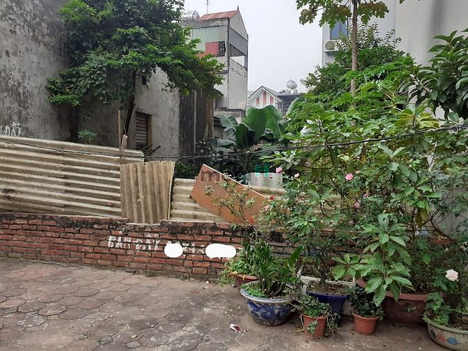 Hình ảnh Bán đất Ngọc Thụy 264m2, mặt tiền 34m, lô góc, Ô tô thông