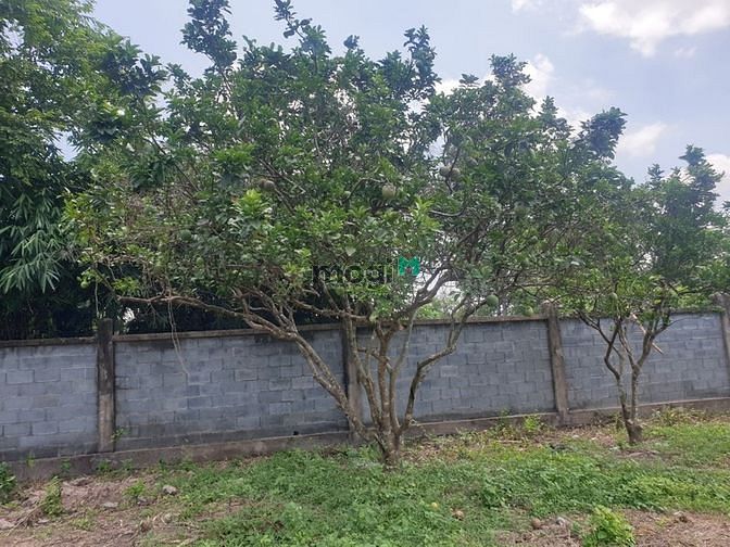 Hình ảnh xã Phước Vĩnh An, DT: 1800m2, giá 8.450 tỷ