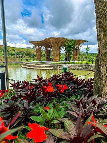 Hình ảnh Đất nền TP Bảo Lộc nằm sườn đồi view thung lũng, pháp lý minh bạch