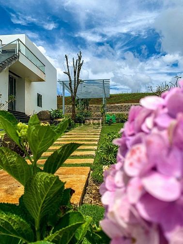 Hình ảnh Đất nền TP Bảo Lộc nằm sườn đồi view thung lũng, pháp lý minh bạch