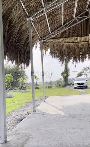 Hình ảnh xã Phú Hòa Đông, DT: 1200m2, giá 3.5 tỷ