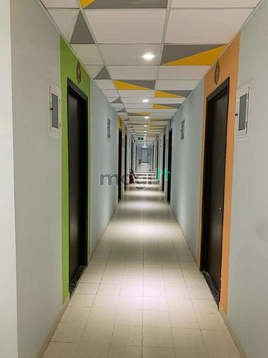 Hình ảnh Bán Trang Chủ MB66.COM / Đăng Ký Tặng 66K dưới 1 tỷ tại Tân Bình, Tp.HCM
