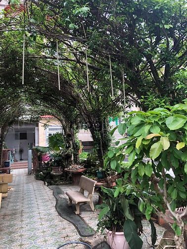 Hình ảnh Biệt phủ 600m2 Trung tâm quận Tân Bình, đường lớn, thu nhập tốt; 84 tỷ
