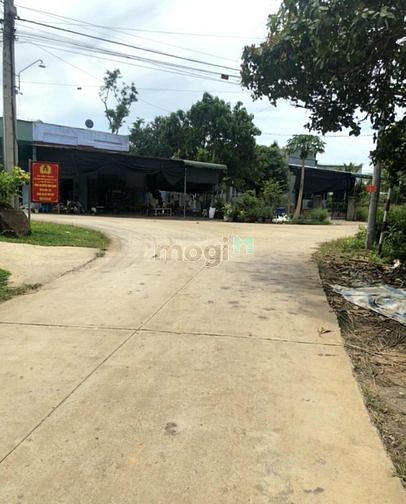 Hình ảnh Đất vườn siêu đẹp mặt đường betong