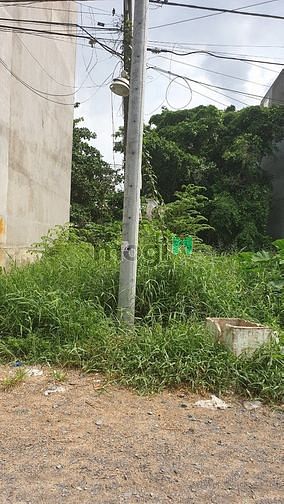 Hình ảnh Bán đất đường Lâm Hoành , An Lac, Bình Tân, 5x16m, Giá 5.2 tỷ