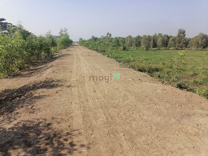 Hình ảnh xã Phước Hiệp, DT: 15654m2, giá 18.8 tỷ