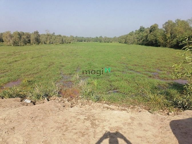 Hình ảnh xã Phước Hiệp, DT: 15654m2, giá 18.8 tỷ