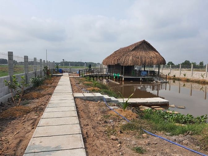 Hình ảnh xã Tân Thạnh Tây, DT: 1287m2, 24m*54m, giá 4.9 tỷ