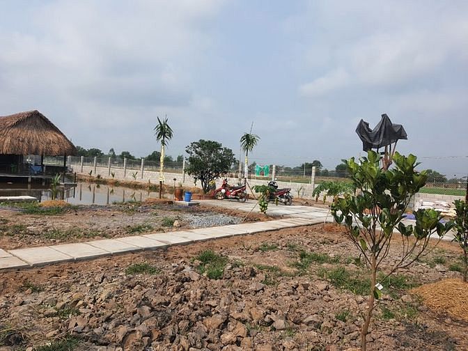 Hình ảnh xã Tân Thạnh Tây, DT: 1287m2, 24m*54m, giá 4.9 tỷ