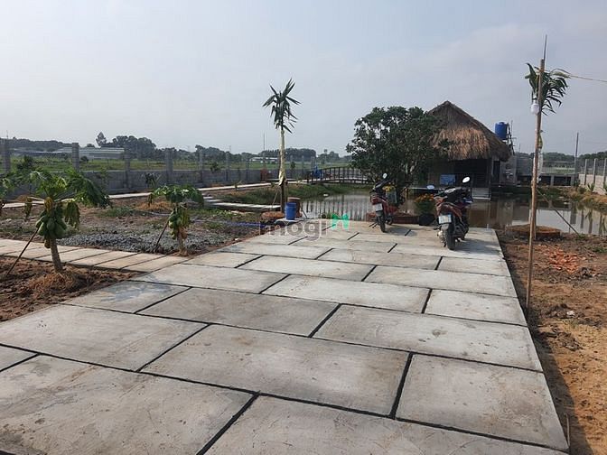 Hình ảnh xã Tân Thạnh Tây, DT: 1287m2, 24m*54m, giá 4.9 tỷ