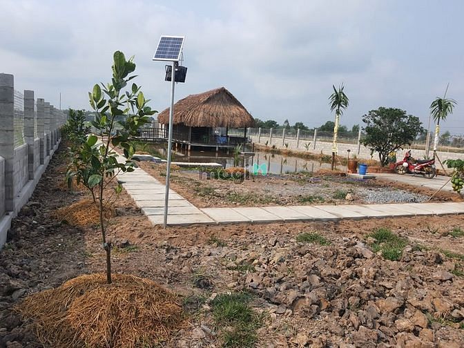 Hình ảnh xã Tân Thạnh Tây, DT: 1287m2, 24m*54m, giá 4.9 tỷ