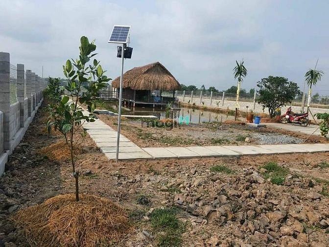 Hình ảnh xã Tân Thạnh Tây, DT: 1287m2, 24m*54m, giá 4.9 tỷ