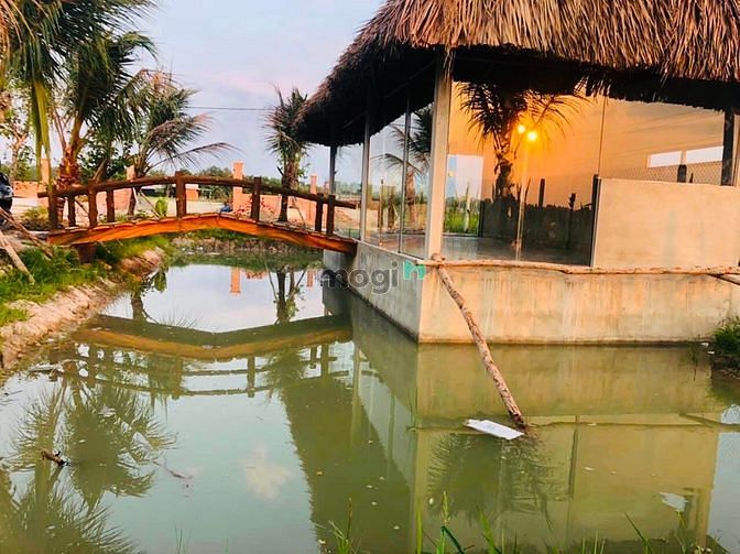 Hình ảnh Bán miếng đất củ chi (36x40) mt Võ Thị Thuẫn, Phước Thạnh, Củ Chi