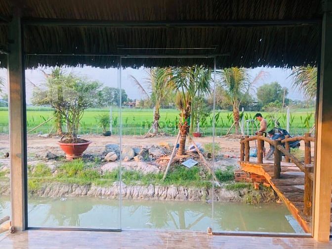 Hình ảnh Bán miếng đất củ chi (36x40) mt Võ Thị Thuẫn, Phước Thạnh, Củ Chi