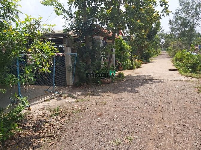 Hình ảnh bán đất full thổ cư kv quảng thành châu đức