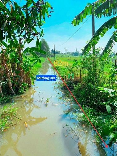 Hình ảnh Xã Phú Hòa Đông, DT: 83m x 53m, diện tích: 1450m2, giá 2.2 tỷ