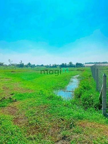Hình ảnh Xã Phú Hòa Đông, DT: 83m x 53m, diện tích: 1450m2, giá 2.2 tỷ