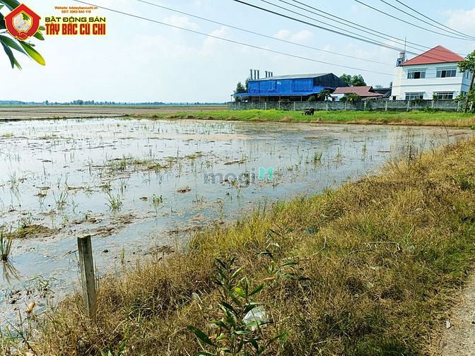 Hình ảnh Bán đất đường tỉnh lộ 7 - 594m2 - 10.7x57 - 300m2 thổ cư - xã thái mỹ