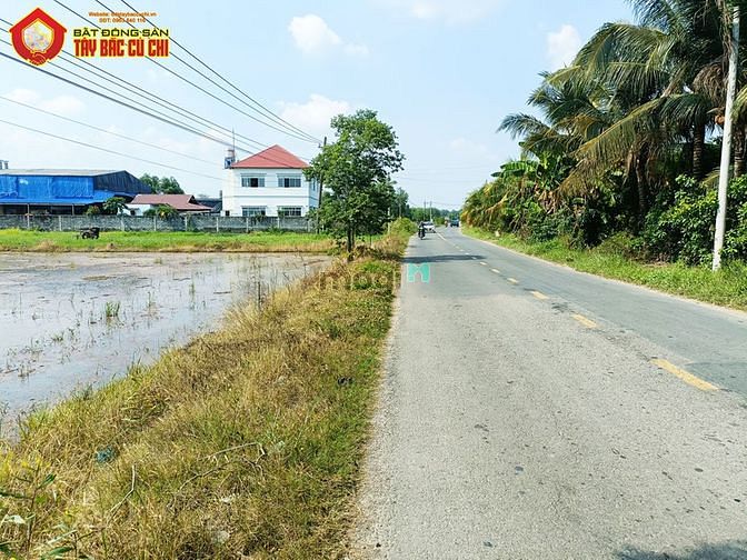 Hình ảnh Bán đất đường tỉnh lộ 7 - 594m2 - 10.7x57 - 300m2 thổ cư - xã thái mỹ