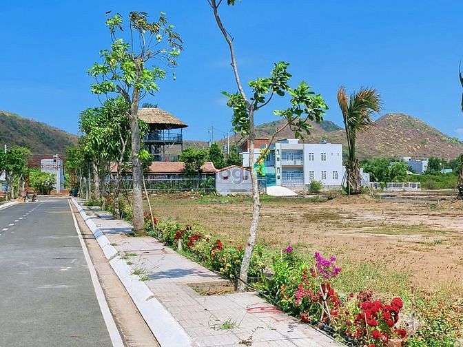 Hình ảnh Đất thổ cư mặt tiền sổ sẵn gần biển Long Hải