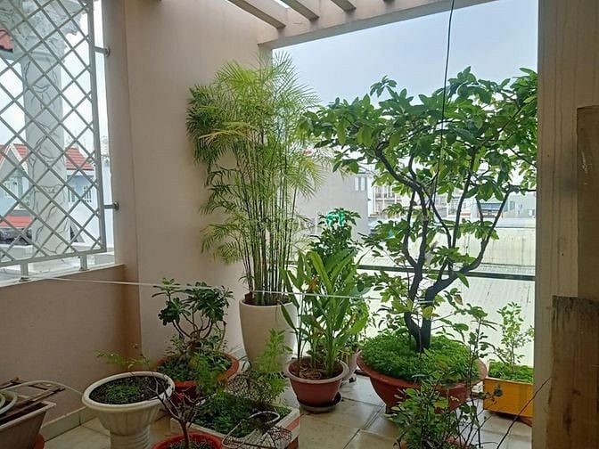 Hình ảnh Bán nhà HL2, BÌNH TÂN, HẺM XE HƠI, nhỉnh 6 tỷ