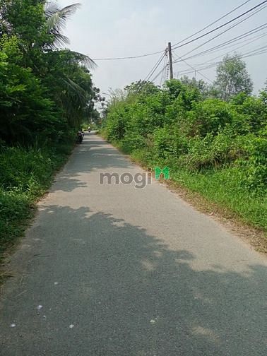 Hình ảnh xã Thái Mỹ, DT 30x40m.1361m2, giá 6,1 tỷ