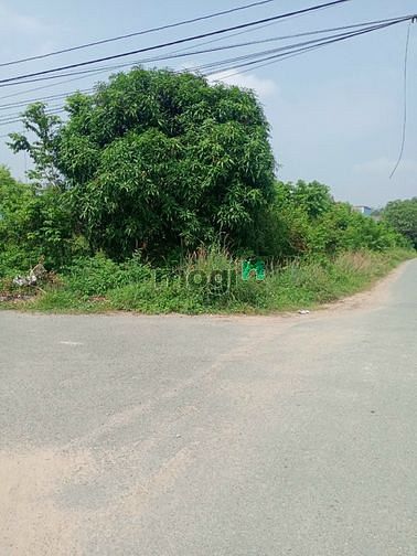 Hình ảnh xã Thái Mỹ, DT 30x40m.1361m2, giá 6,1 tỷ