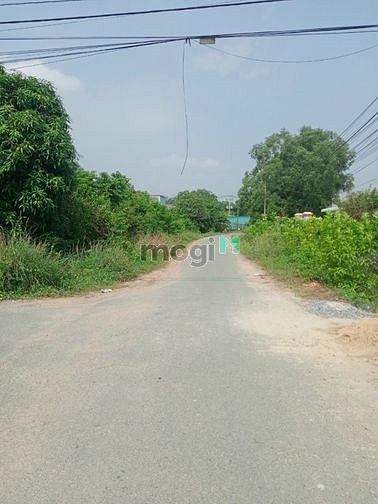 Hình ảnh xã Thái Mỹ, DT 30x40m.1361m2, giá 6,1 tỷ