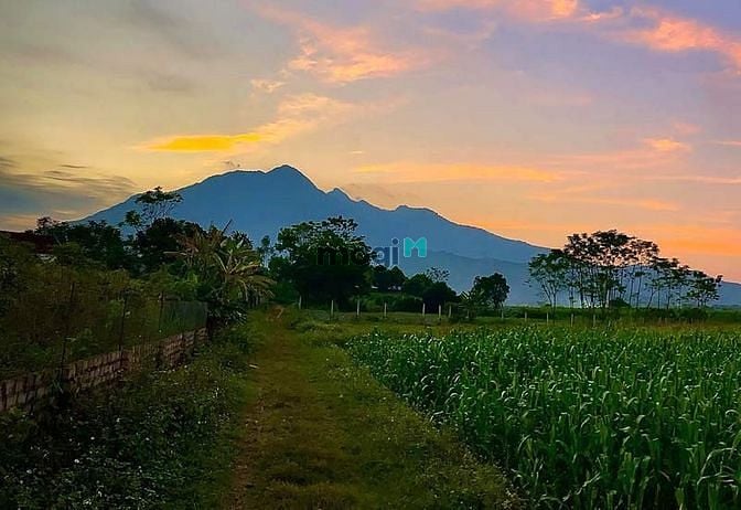 Hình ảnh Chính chủ cần bán đất thổ cư 2 mặt tiền view núi ba vì cực đẹp