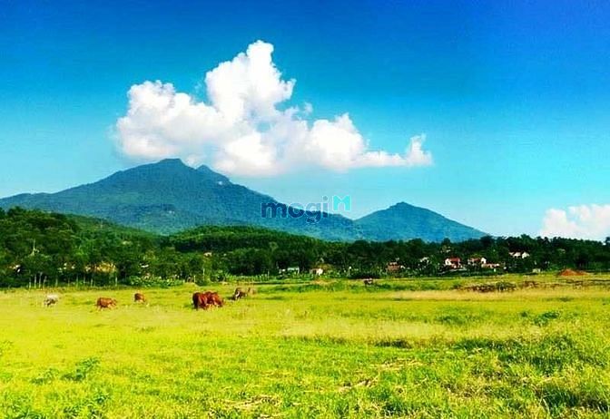 Hình ảnh Chính chủ cần bán đất thổ cư 2 mặt tiền view núi ba vì cực đẹp