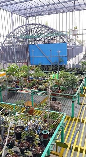 Hình ảnh Nhà đường số 16a/bình hưng hòa a Bình Tân