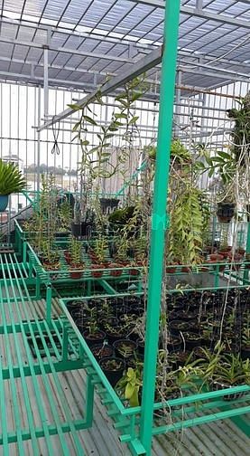 Hình ảnh Nhà đường số 16a/bình hưng hòa a Bình Tân