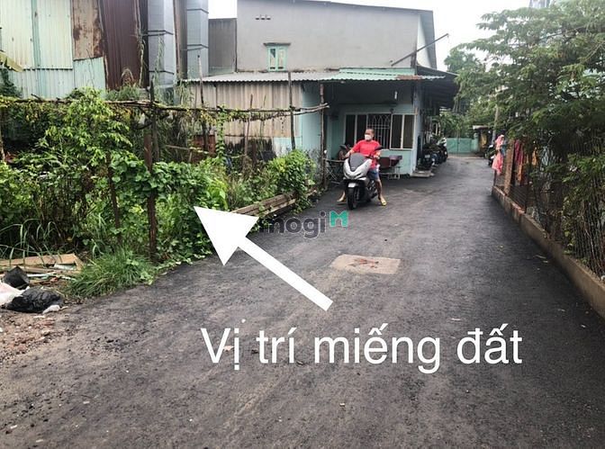Hình ảnh Bán đất 80m2 Đường số 11, Phường Trường Thọ, Tp. Thủ Đức