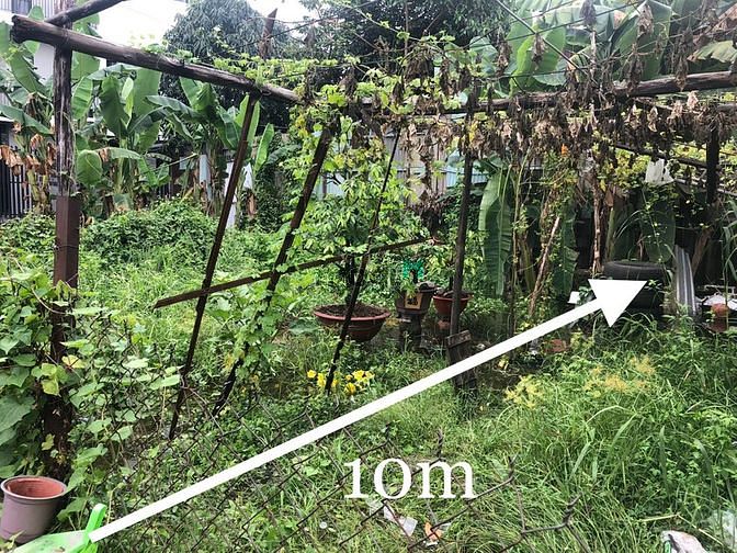 Hình ảnh Bán đất 80m2 Đường số 11, Phường Trường Thọ, Tp. Thủ Đức