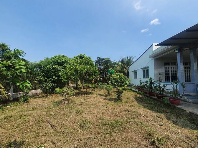 Hình ảnh Bán lô đất ở Cần Giuộc, có cả thổ và vườn (607m2), cách Q8 20 phút