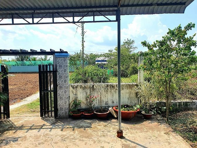Hình ảnh Bán lô đất ở Cần Giuộc, có cả thổ và vườn (607m2), cách Q8 20 phút