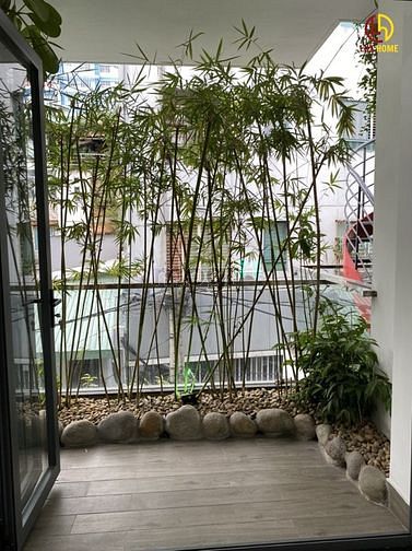 Hình ảnh CHDV mới xây_Full NT_Ban Công nhiều cây xanh_Q3