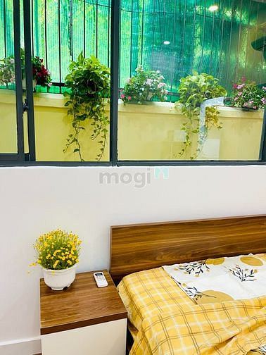 Hình ảnh 🌈CHDV 1PN_Thoáng Mát_Full Nội Thất_Ngô Tất Tố_Bình Thạnh