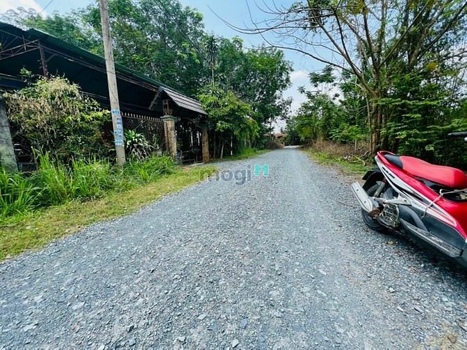 Hình ảnh ĐẤT XÃ NHUẬN ĐỨC, Dt : 20x35 = 705m2 ( có 41m2 thổ cư), giá 4.8 tỷ