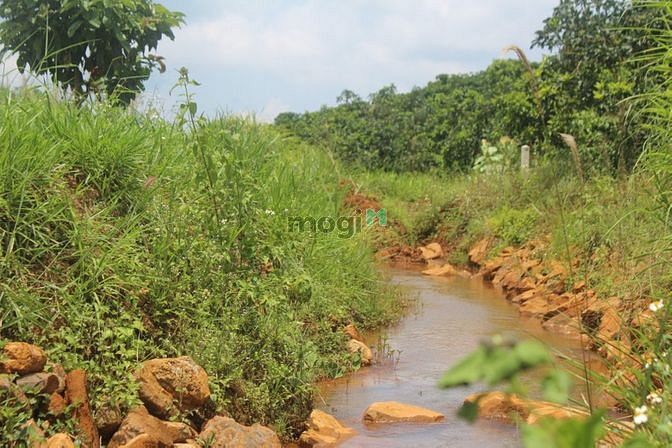 Hình ảnh Hot hot đất view Hồ Ngọc siêu rẻ 7tr/m2,có tc