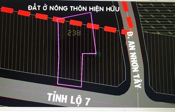 Hình ảnh ĐẤT XÃ AN NHƠN TÂY_CỦ CHI, Dt : 20x55 = 1540m2. full thổ, giá 16.5 tỷ