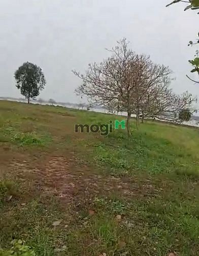 Hình ảnh Bán đất View hồ Dầu Tiếng, Minh Hòa, Dầu Tiếng, DT34.000m2, SHR,20 tỷ