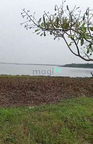 Hình ảnh Bán đất View hồ Dầu Tiếng, Minh Hòa, Dầu Tiếng, DT34.000m2, SHR,20 tỷ