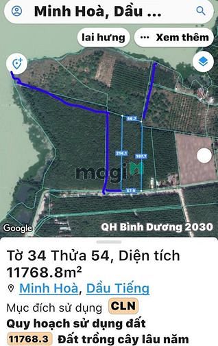 Hình ảnh Bán đất View hồ Dầu Tiếng, Minh Hòa, Dầu Tiếng, DT34.000m2, SHR,20 tỷ