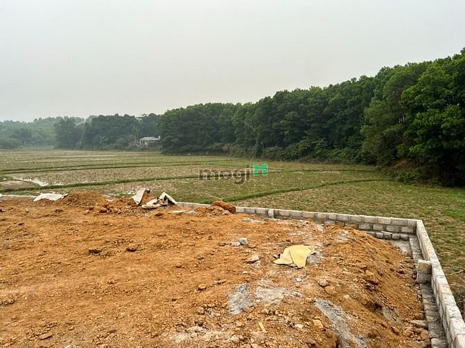 Hình ảnh Bán 1.245m2 (400m2 đất thổ cư) tại xã Tân Vinh, Lương Sơn, Hòa Bình